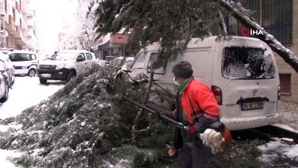 Kara dayanamayan ağaç aracın üzerine devrildi