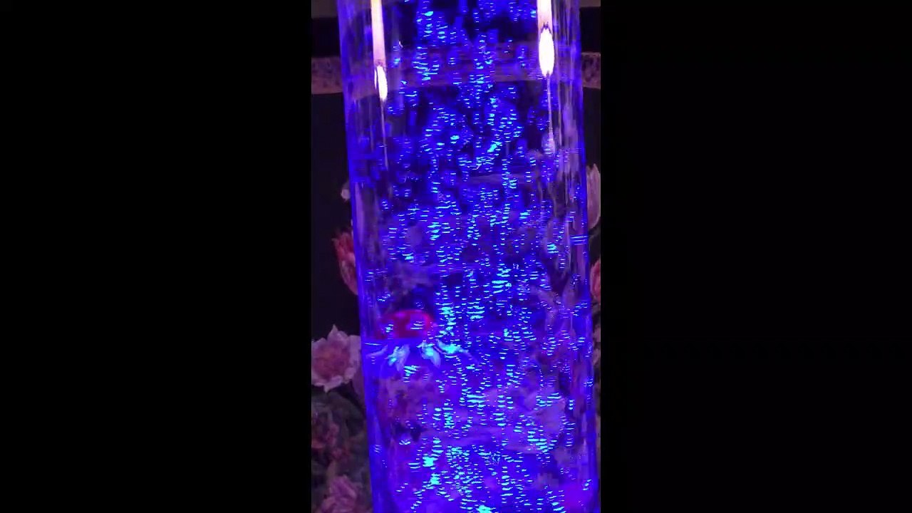 Sharper Image Fish 'n Bubbles (3 Subject Notebook)