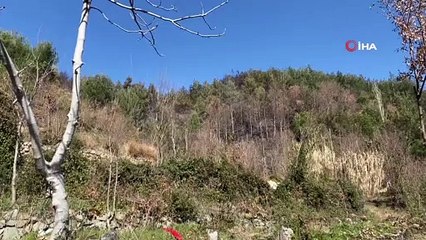 Hatay’da örtü altı yangını büyümeden söndürüldü