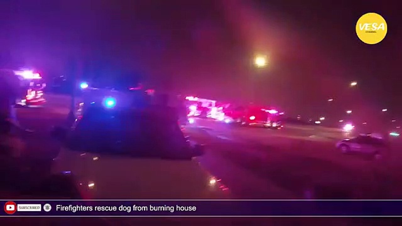 Firefighters rescue dog from burning house (1)