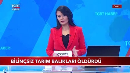 Bilinçsiz Tarım Balıkları Öldürdü