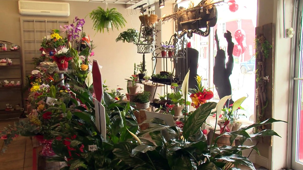 WEB Saint Valentin + clips