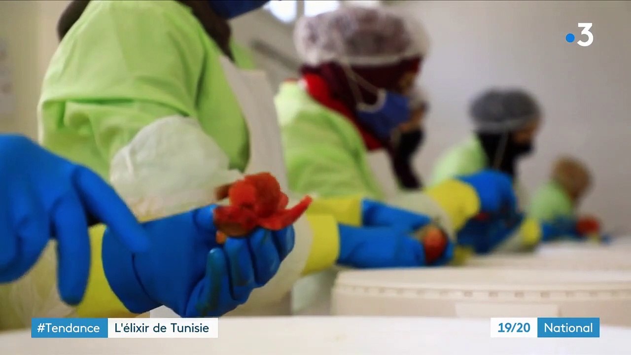 Tunisie : l'huile de figue de Barbarie connaît un franc succès