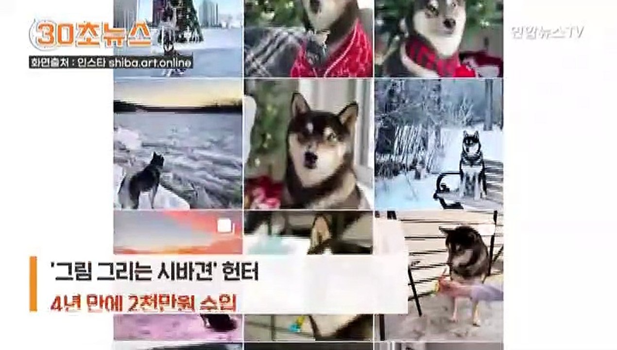 [30초뉴스] 그림 그리는 시바견…4년간 2천만원 벌었다