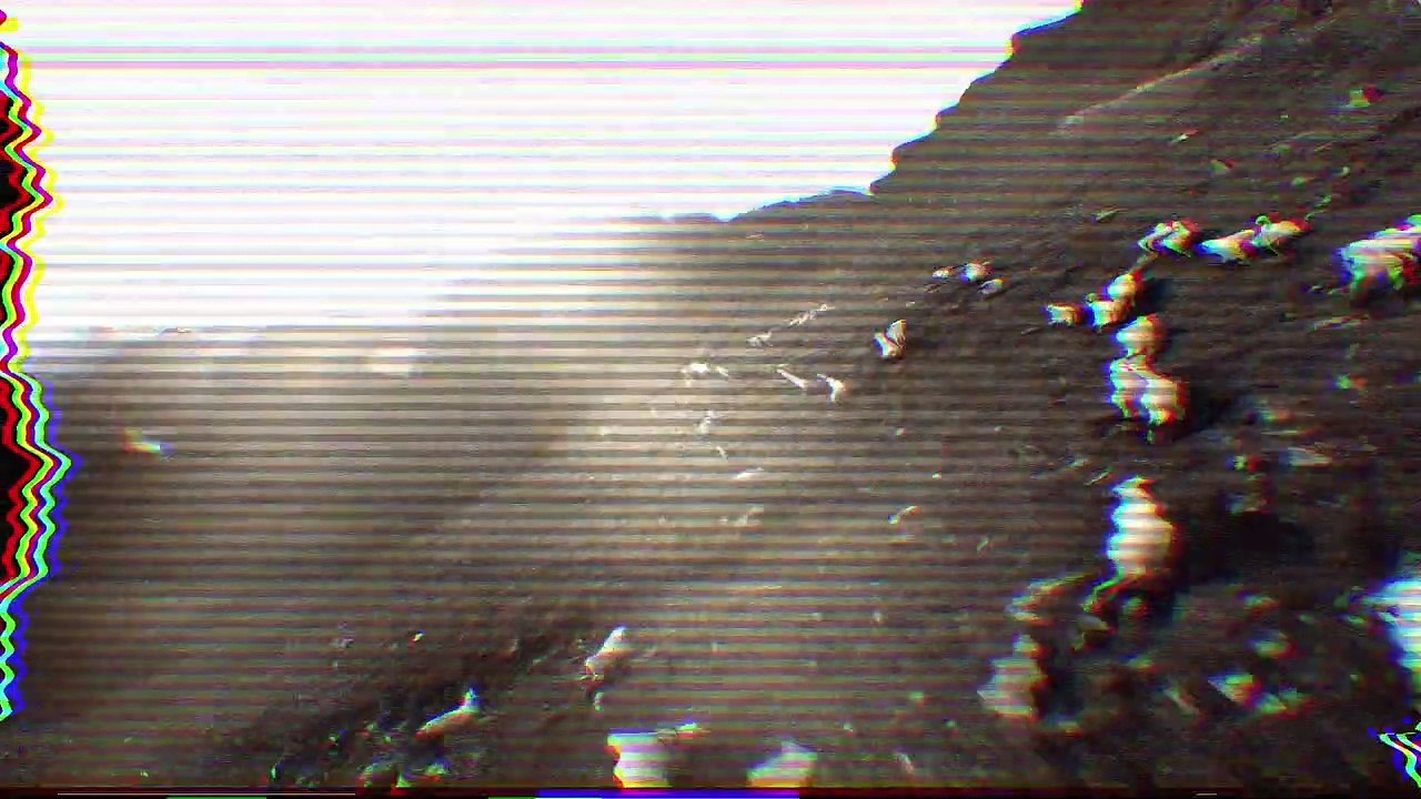 The Bellwether Trailer