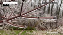 Ice creates beautiful but dangerous scenes around Greensboro