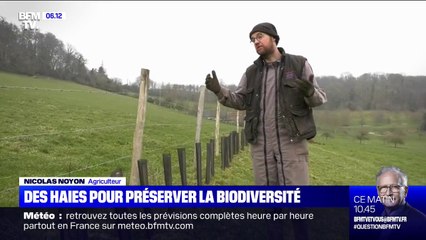 En Seine-Maritime, des haies sont plantées pour préserver la biodiversité