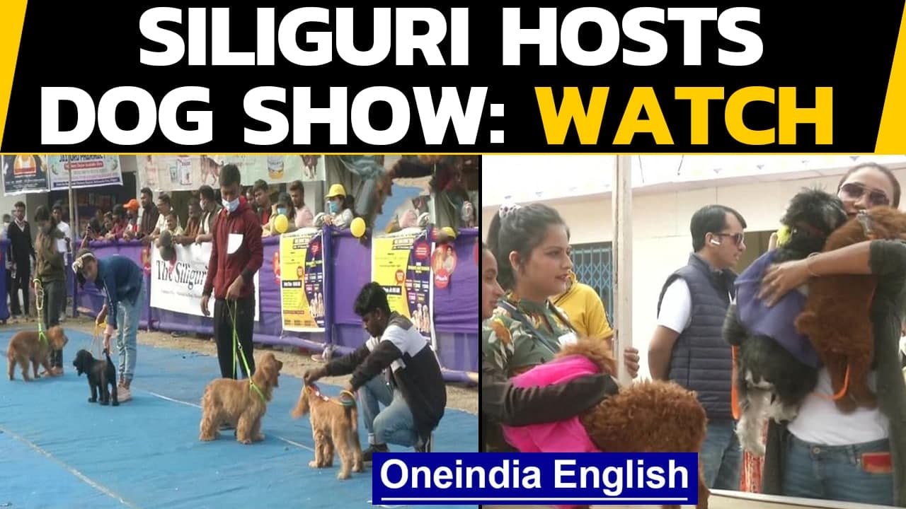 Siliguri Over 125 dogs of different breeds participate in the dog show