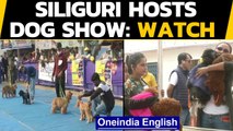 Siliguri: Over 125 dogs of different breeds participate in the dog show | Oneindia News