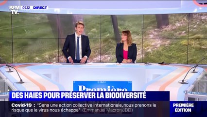 Des haies pour préserver la biodiversité - 15/02