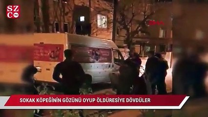 Tải video: Sokak köpeğinin gözünü oyup sopayla öldüresiye dövdüler