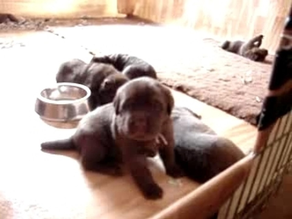 1er contact avec Duddy