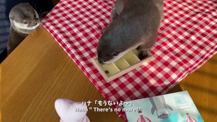 Happy Valentine's Day Two Otters