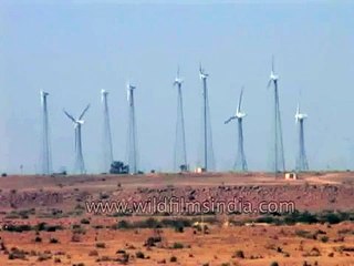 Wind power from the Indian desert, Jaisalmer