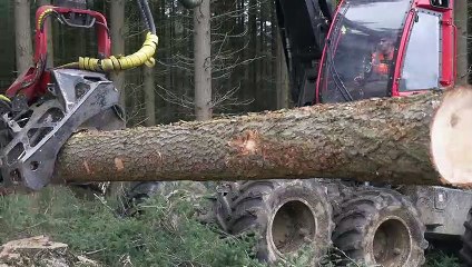 A bord d'une récolteuse forestière