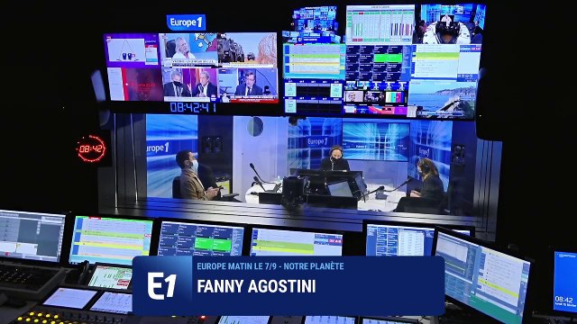 Communitrees , le plus grand projet de reboisement jamais imaginé en France