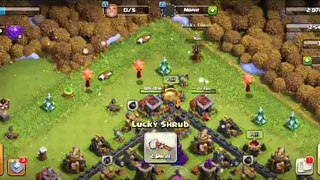 What is inside the lucky shrub in clash of clans.