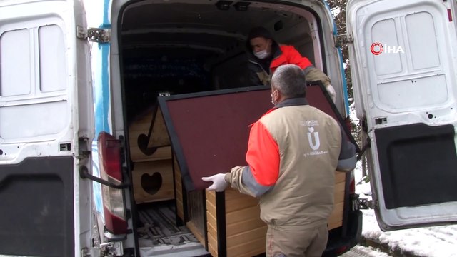 Üsküdar Belediyesi sokak hayvanları için harekete geçti