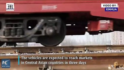 Over 200 Japan-made vehicles exported to Kazakhstan via freight train through China's Horgos