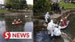 Body found floating in lake in PJ