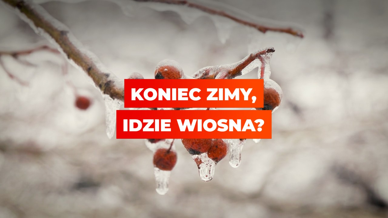 Koniec zimy, idzie wiosna? FLESZ
