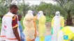 Ebola re-emerges in West Africa with Guinea outbreak