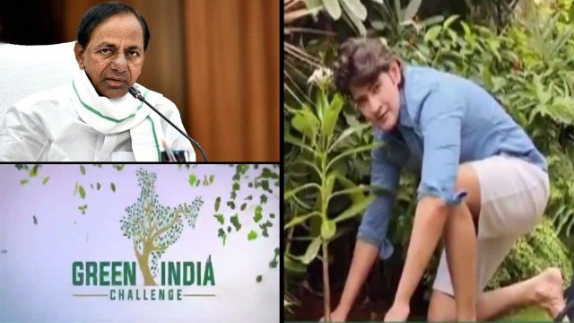Mahesh Babu Family's Special Gift For KCR Birthday