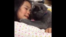 kedi ağlayan kızı insan gibi teselli ediyor