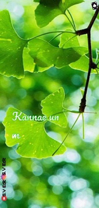 Love feeling song lyrics video.love whatsapp status tamil.