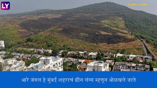 Aarey Forest Fire: मुंबई मध्ये आरे जंगलात आग; अग्निशमन दलाच्या गाड्या घटनास्थळी रवाना