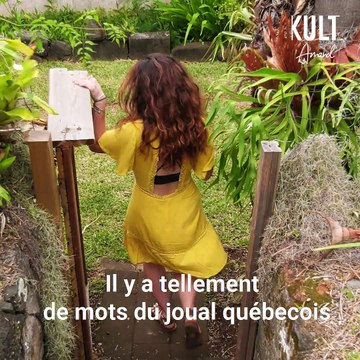 Quand le créole réunionnais ressemble au joual québécois