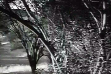 Enter the Lone Ranger | Season 1 | Episode 12 | Return of the Convict