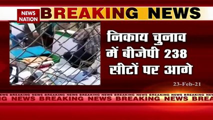 Gujarat : गुजरात निकाय चुनाव में BJP को मिली 238 सीटें, देखें किसाक पलड़ा है कितना भारी