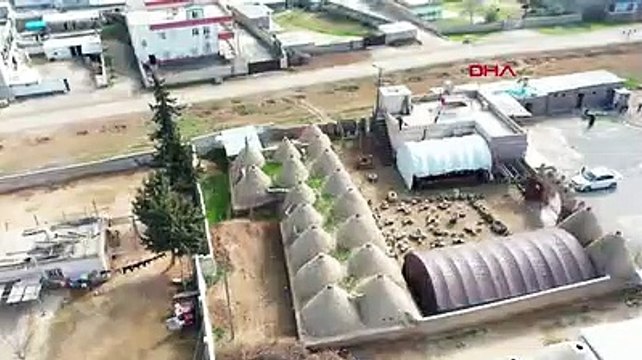 Harran'ın konik kubbeli evleri, özelliğiyle dikkat çekiyor