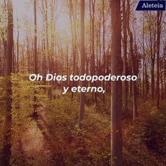 ORACIÓN: Empieza el día ofreciéndote a Dios