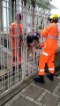 Cão fica preso entre grades de portão e é resgatado pelos bombeiros em MG