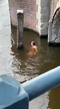 Ce patineur va se prendre la gamelle de sa vie