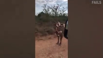 Try Not To Laugh -- Funny Video 2020 - 30 minutes of Fails(240P)_1