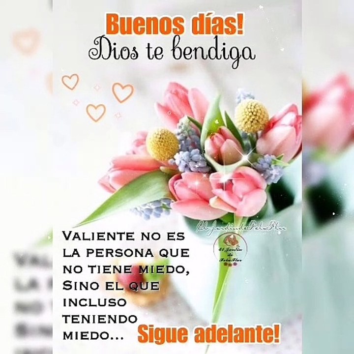 Feliz Martes 
