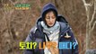 [HOT] The natural man's ability to cut firewood at once!, 안싸우면 다행이야 20210215