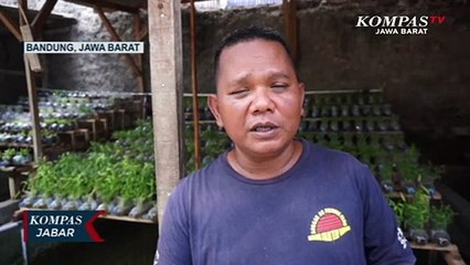 Geng Motor Berulah di Baleendah!