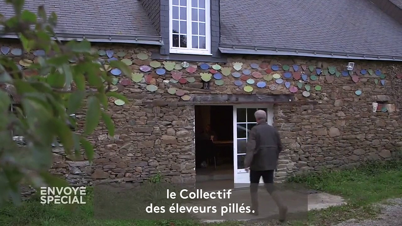 "La campagne, c'est devenu un libre-service" : le Collectif des éleveurs pillés n'en peut plus des vols de moutons