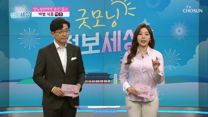 당뇨와 면역력 증진에 도움 주는 ‘○○’ TV CHOSUN 210216 방송