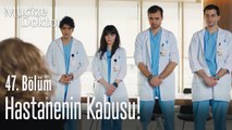 Vuslat hastanenin kabusu mu olacak - Mucize Doktor 47. Bölüm