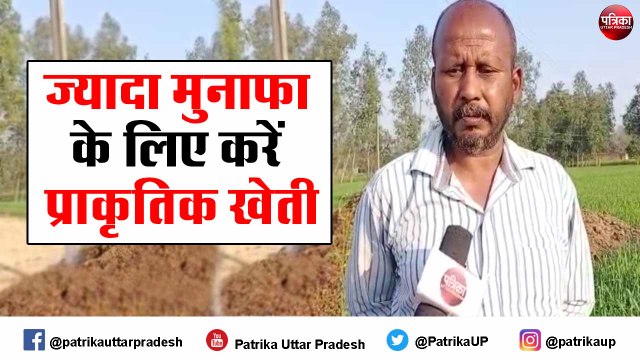 इस तरह करें प्राकृतिक खेती, होगा ज्यादा मुनाफा