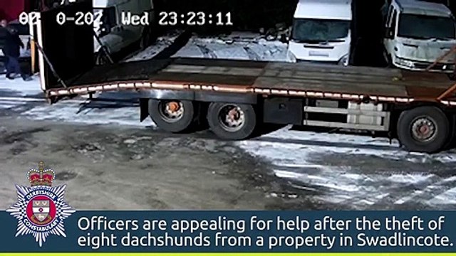 CCTV footage of man wanted by police in connection with Derbyshire dog thefts