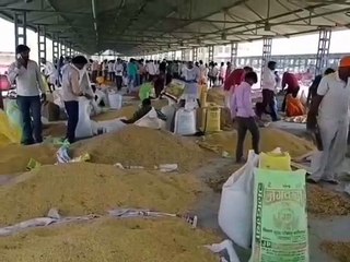 कृषि मंडी में अनाज की बंपर आवक, लगी उपज से बड़े वाहनों की कतार