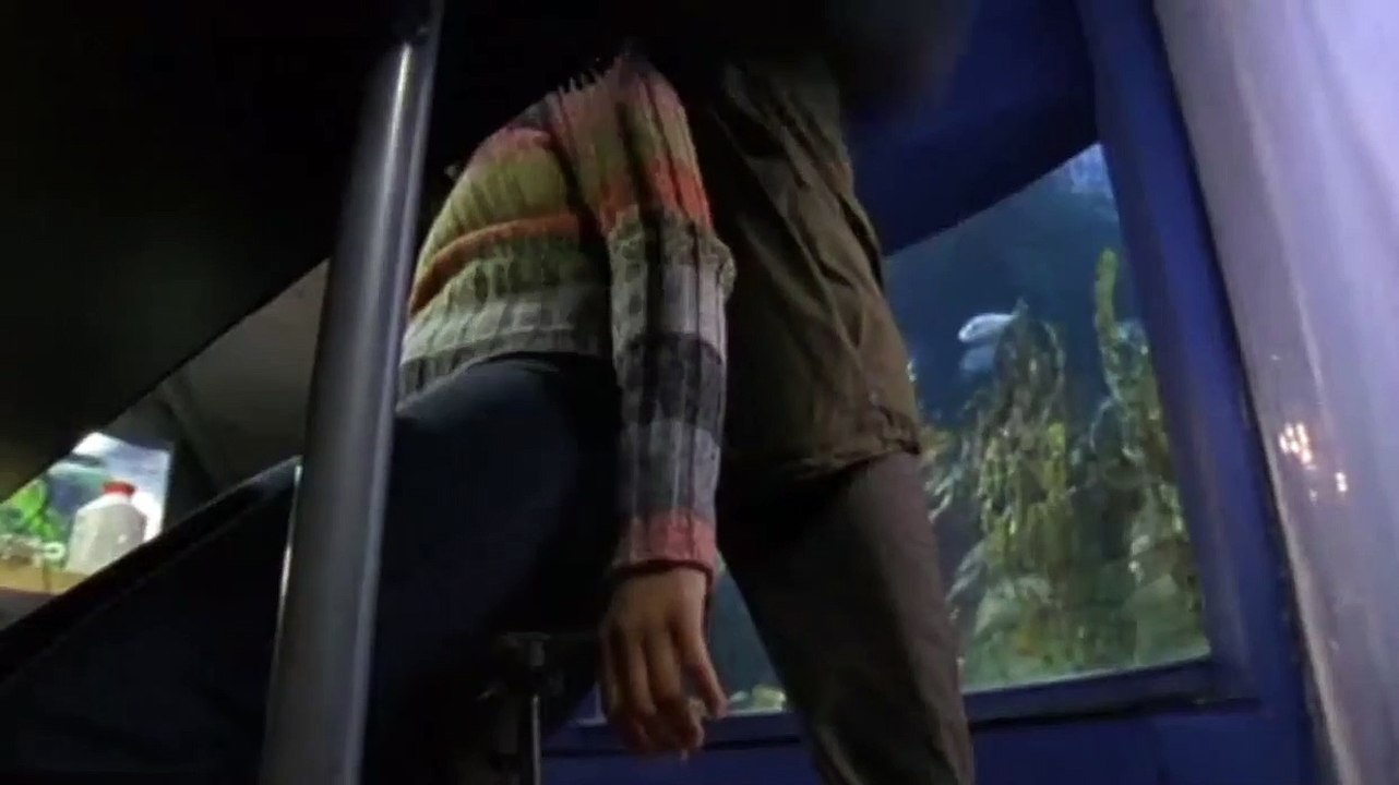 Küstenwache Staffel 8 Folge 15