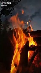 الشيخ سعيد الكملي