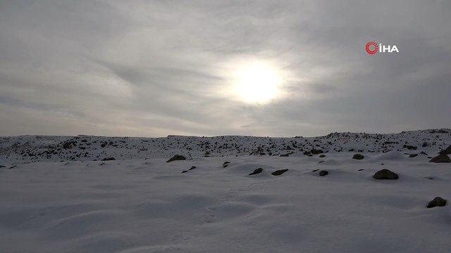 - Kısmen buz tutan Yazıcı Barajı fotoğraf tutkunlarının ilgi odağı oldu